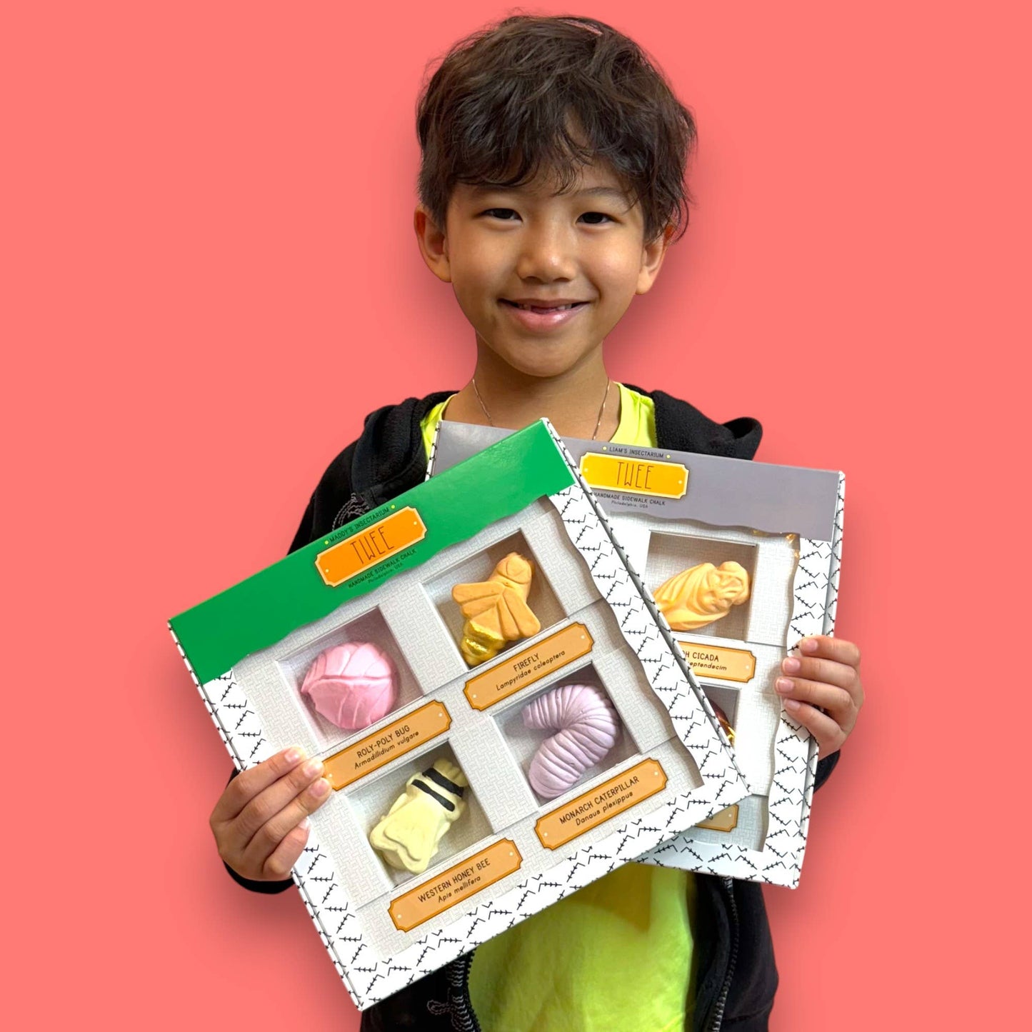 MADDY OR LIAM'S INSECTARIUM HANDMADE SIDEWALK