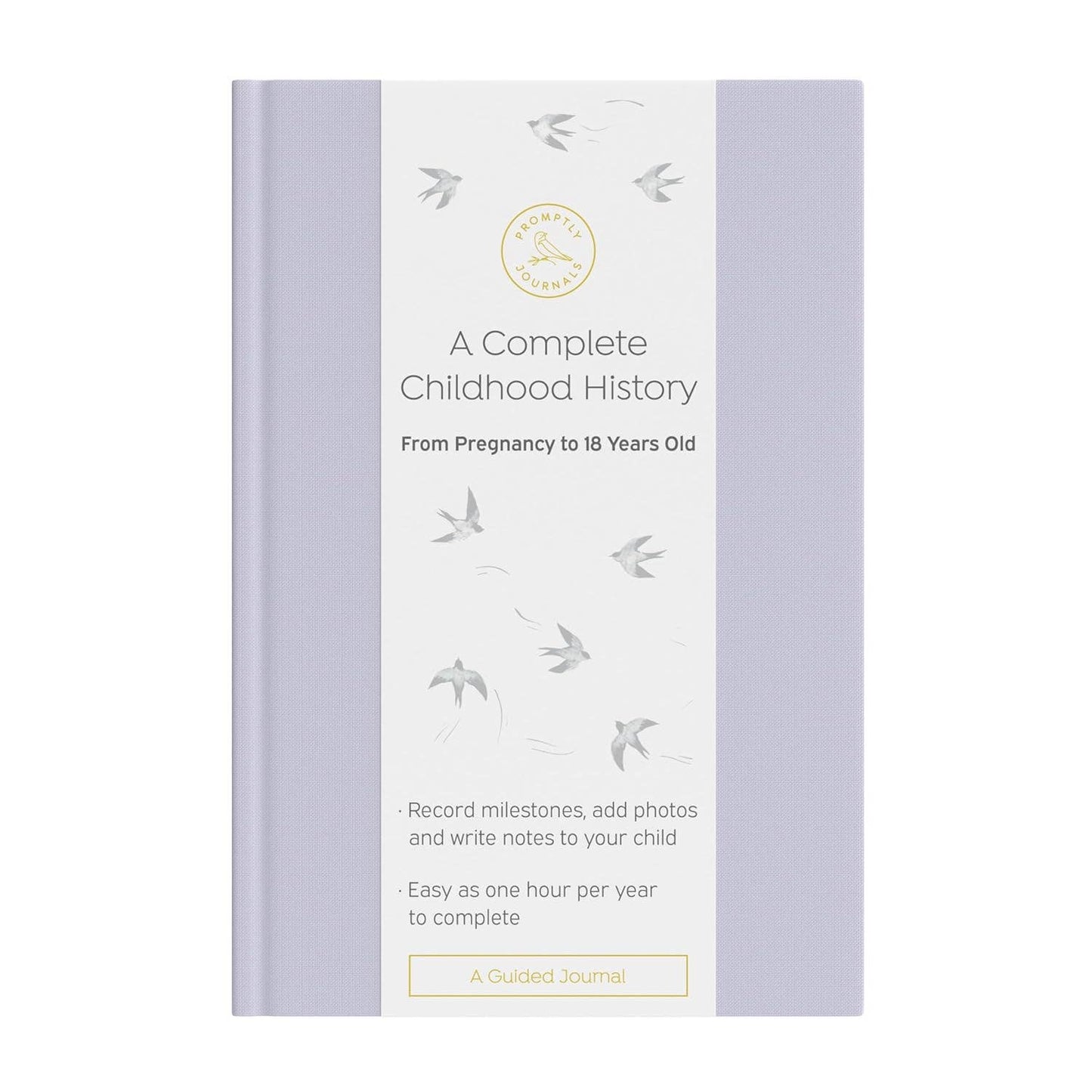 A Complete Childhood History: Pregnancy to 18 Years Journal : Dusty Rose Linen