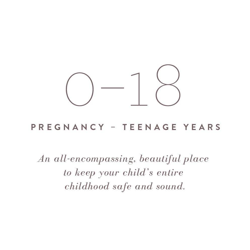A Complete Childhood History: Pregnancy to 18 Years Journal : Dusty Rose Linen