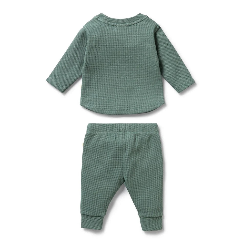 Organic Waffle Set || Pine Green
