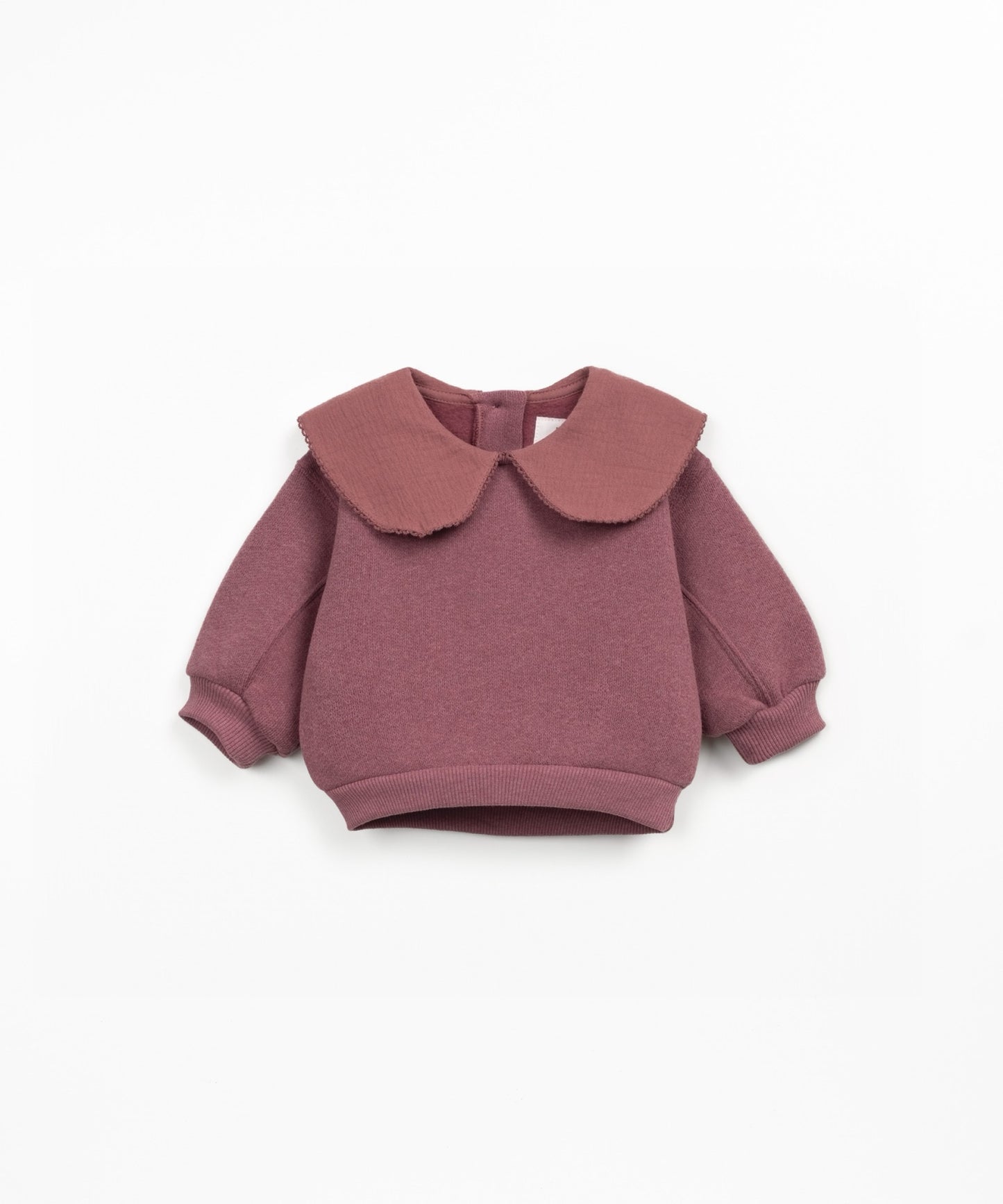 Knit Sweatshirt with Collar || Plum