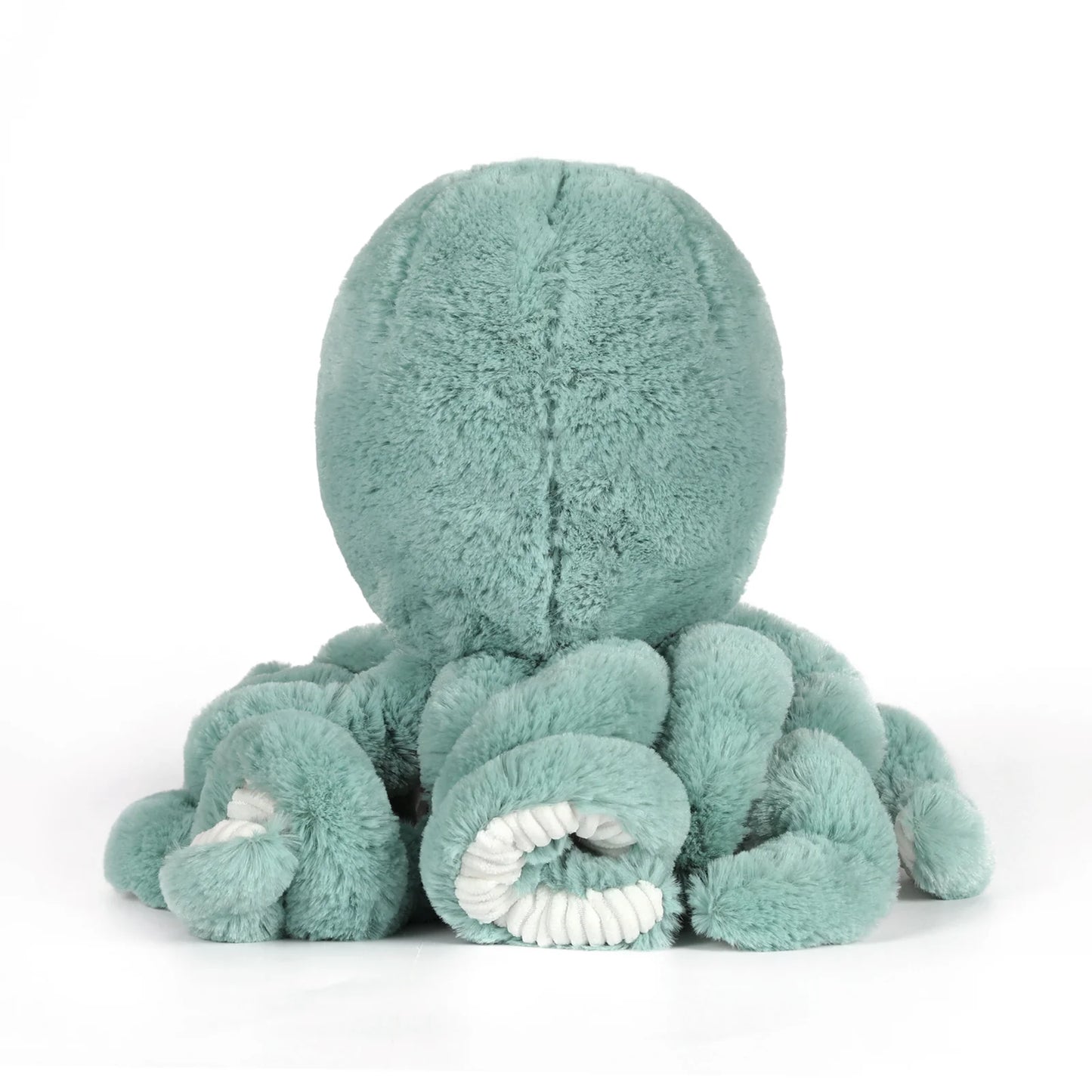 REEF OCTOPUS