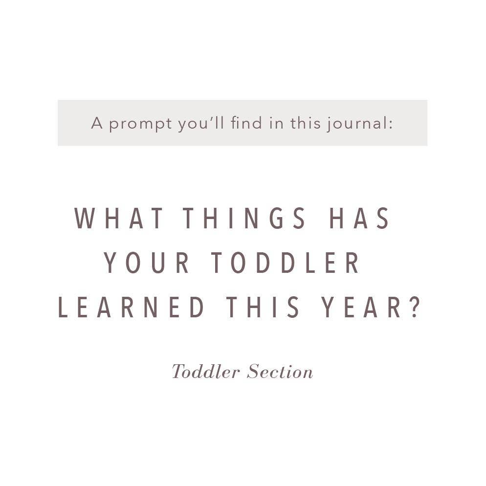 A Complete Childhood History: Pregnancy to 18 Years Journal : Dusty Rose Linen