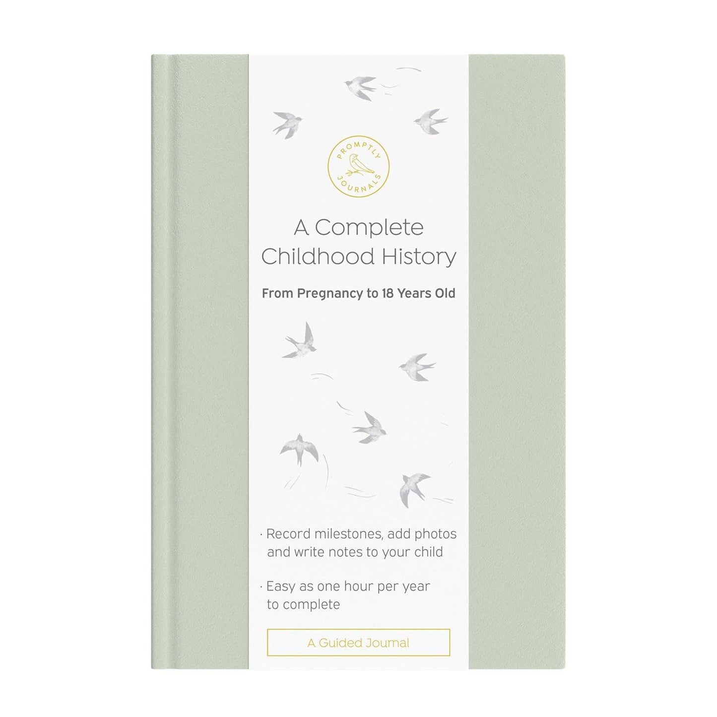 A Complete Childhood History: Pregnancy to 18 Years Journal : Dusty Rose Linen