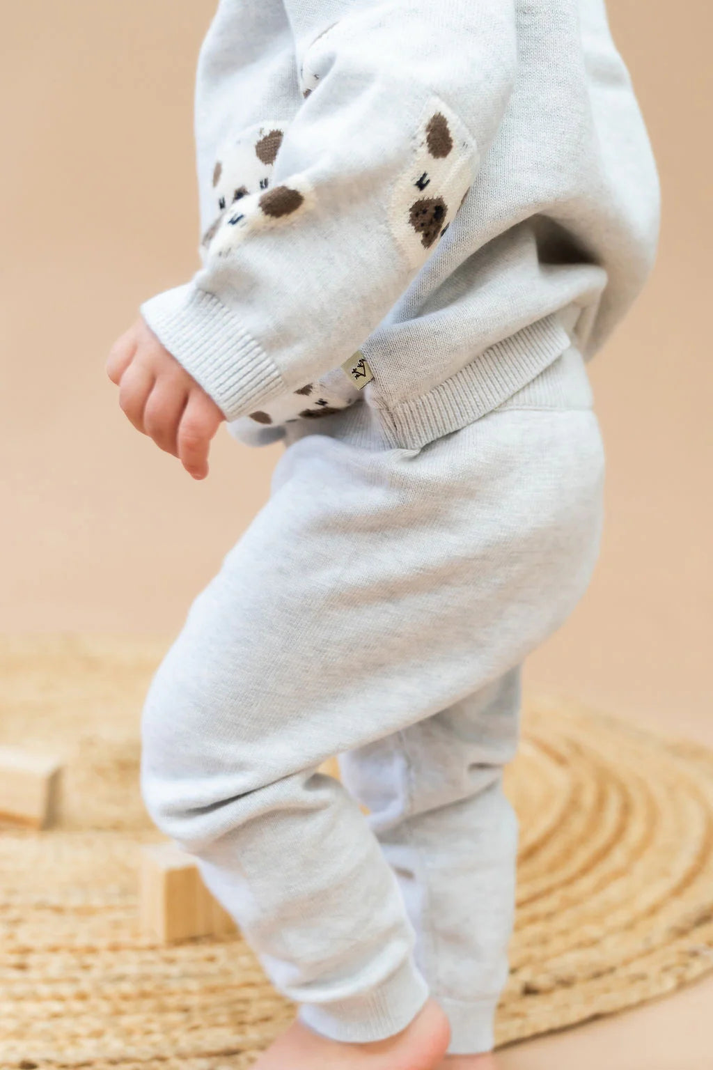 Frenchie Puppy Jacquard Knit Raglan Pullover Sweater & Pant Set