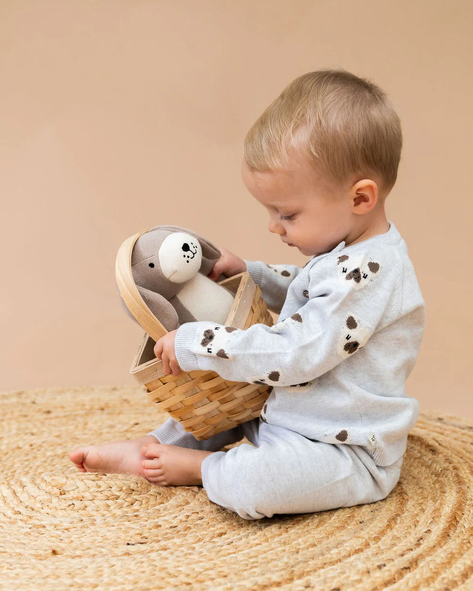 Frenchie Puppy Jacquard Knit Raglan Pullover Sweater & Pant Set