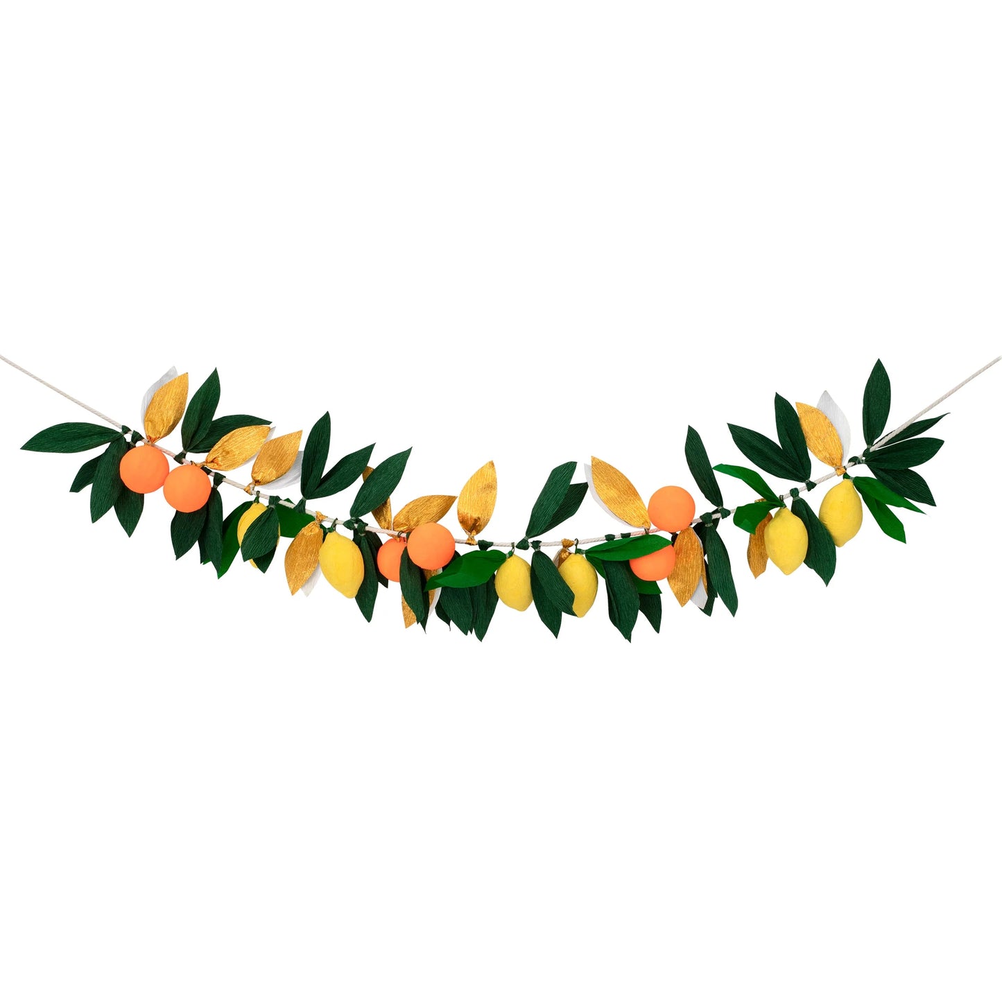 Citrus Fruit Garland