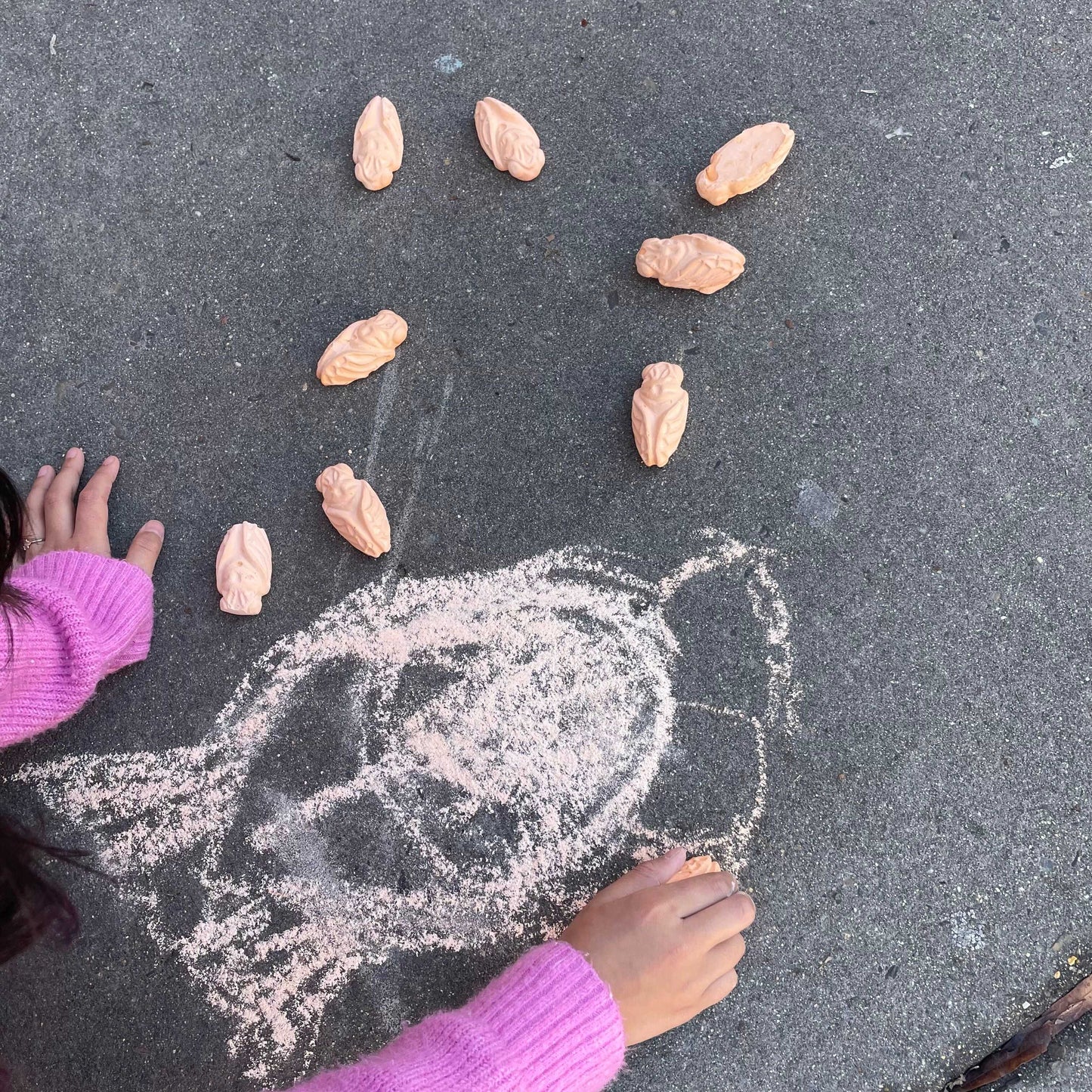 POCKET CICADA BUG | HANDMADE SIDEWALK CHALK