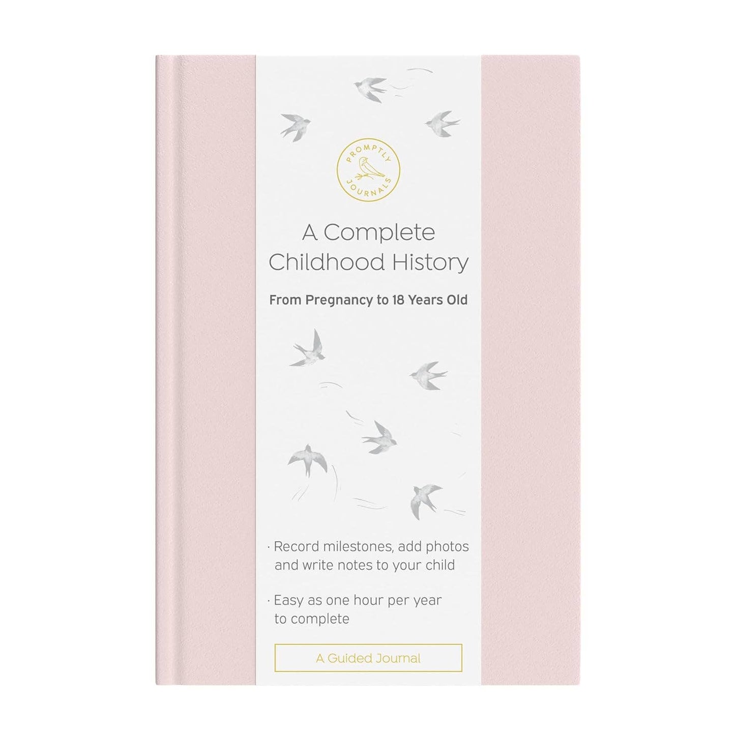 A Complete Childhood History: Pregnancy to 18 Years Journal : Dusty Rose Linen