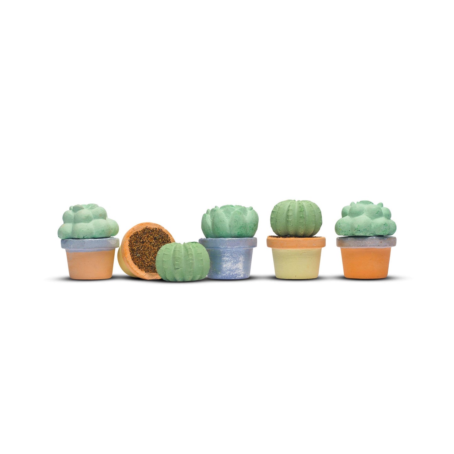 Maya & Siona's Succulents Handmade Sidewalk Chalk
