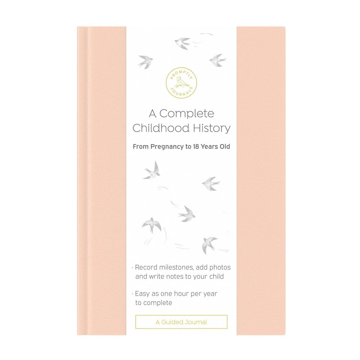 A Complete Childhood History: Pregnancy to 18 Years Journal : Dusty Rose Linen