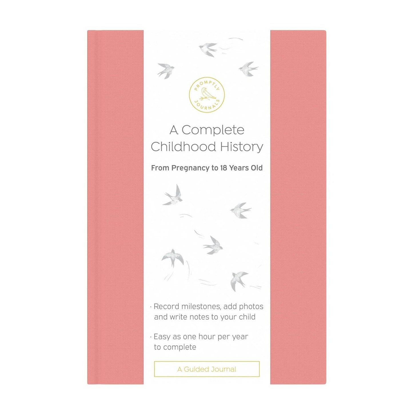 A Complete Childhood History: Pregnancy to 18 Years Journal : Dusty Rose Linen
