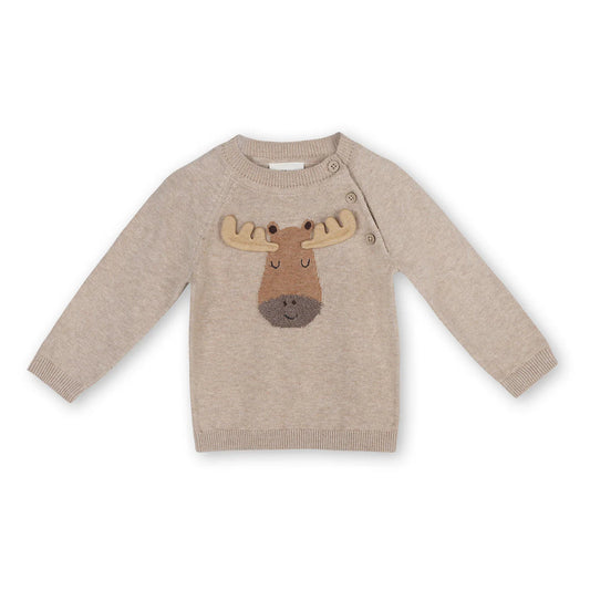 Moose Applique Raglan Baby Pullover Sweater