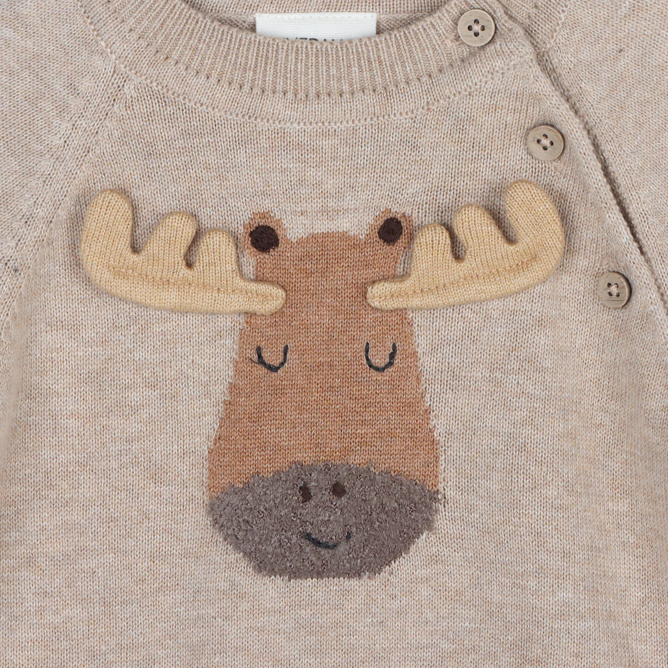 Moose Applique Raglan Baby Pullover Sweater