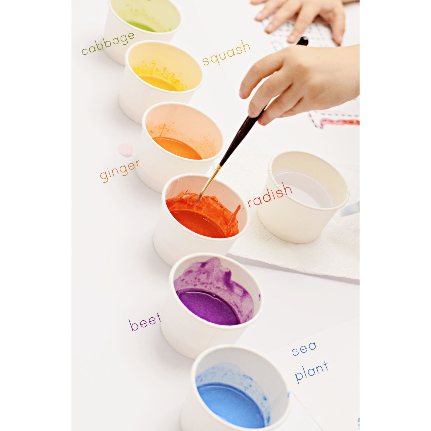 FARMER KERRI'S VEGGIE PAINTS | SUMMER COLOR | PAINT SET