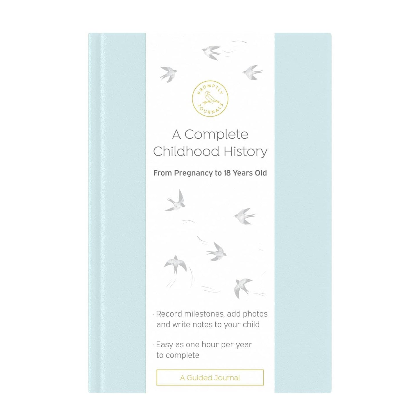 A Complete Childhood History: Pregnancy to 18 Years Journal : Dusty Rose Linen