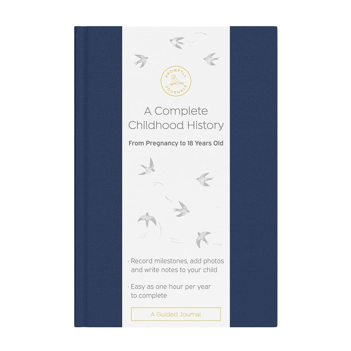 A Complete Childhood History: Pregnancy to 18 Years Journal : Dusty Rose Linen