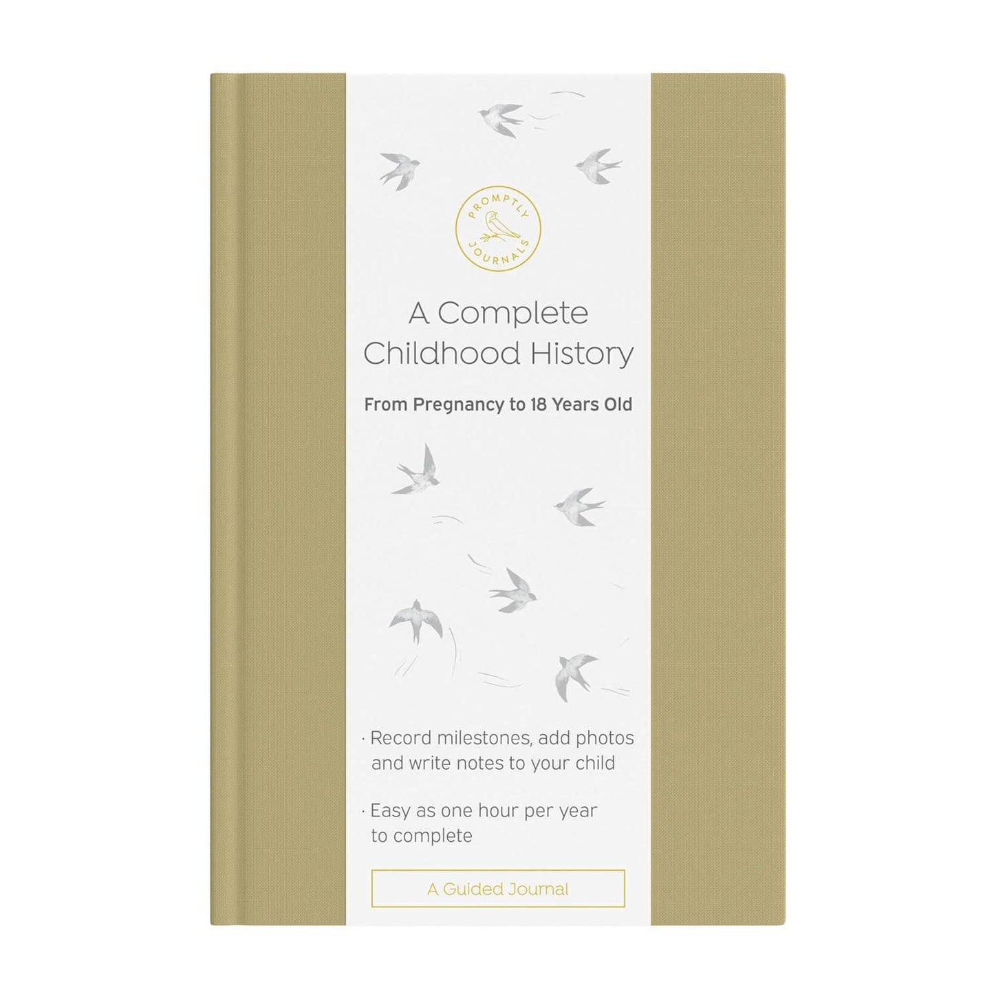 A Complete Childhood History: Pregnancy to 18 Years Journal : Dusty Rose Linen