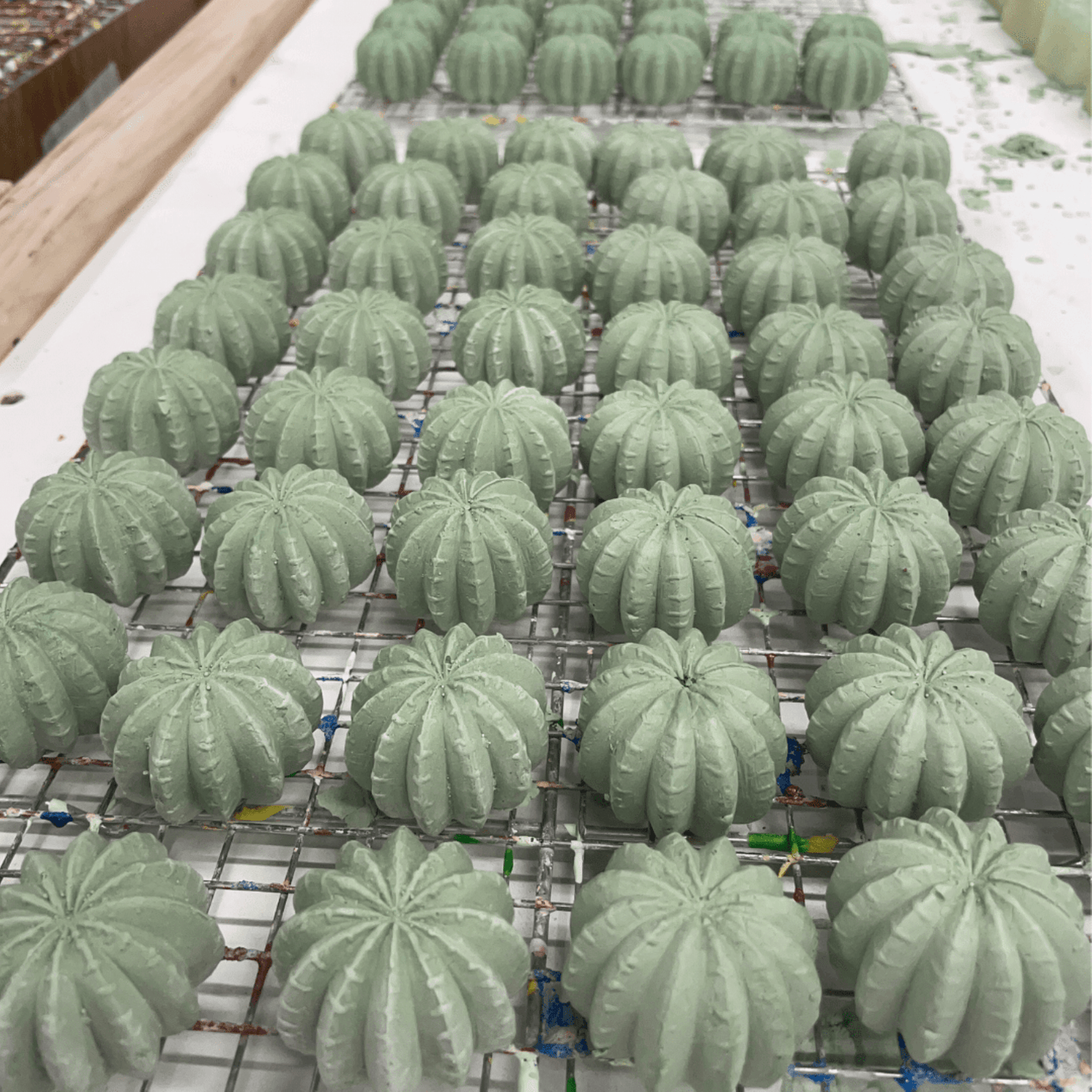 Maya & Siona's Succulents Handmade Sidewalk Chalk