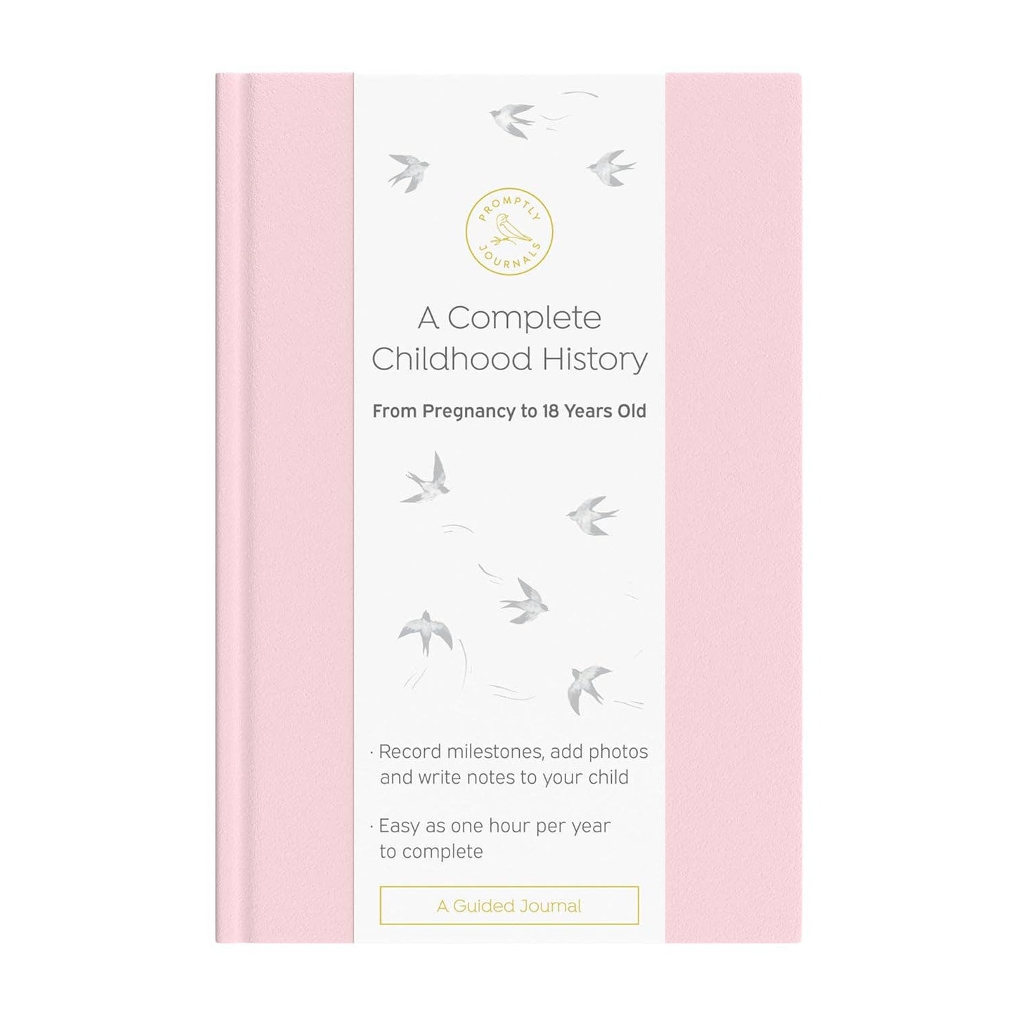 A Complete Childhood History: Pregnancy to 18 Years Journal : Dusty Rose Linen