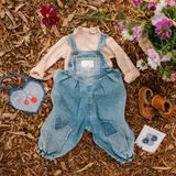 Crochet Clip Set || Baby Blues