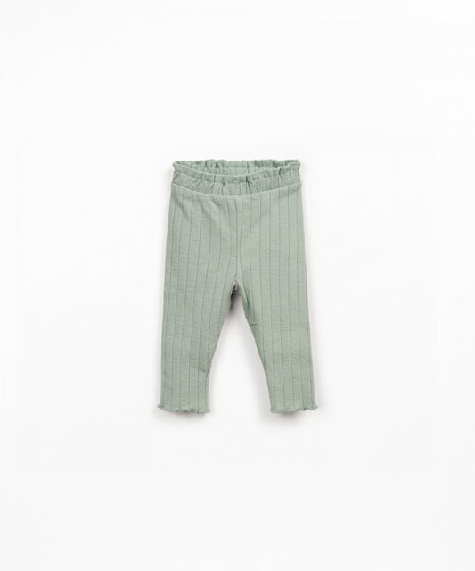 Rib Knit Legging || Light Green