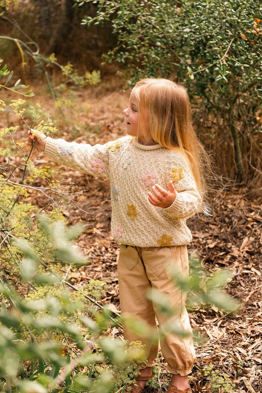 Wild Wawa Jardin Sweater || Multicolor