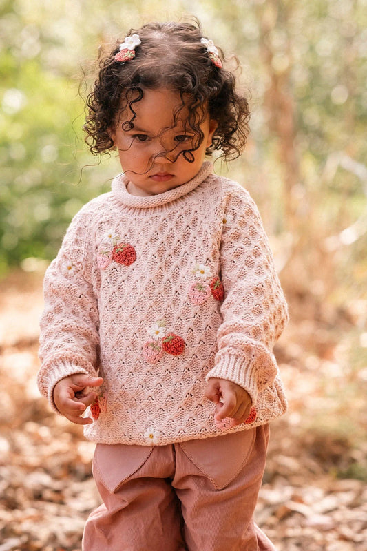 Wild Wawa Strawberry Fields Sweater || Pink