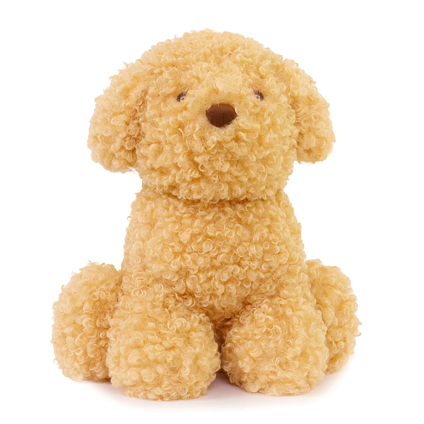 LUCA LABRADOODLE