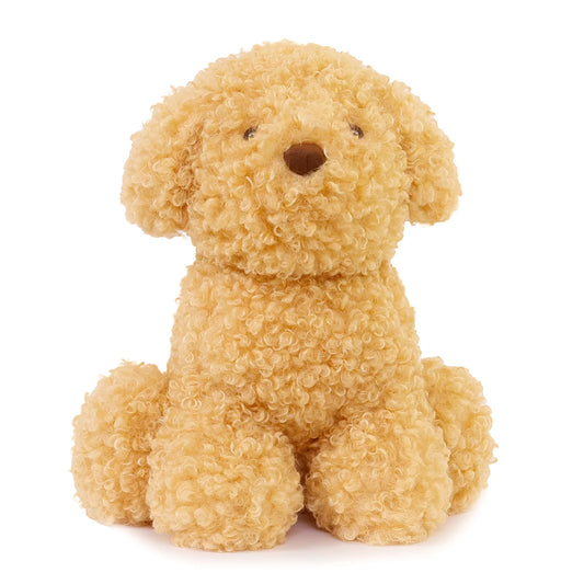 LUCA LABRADOODLE
