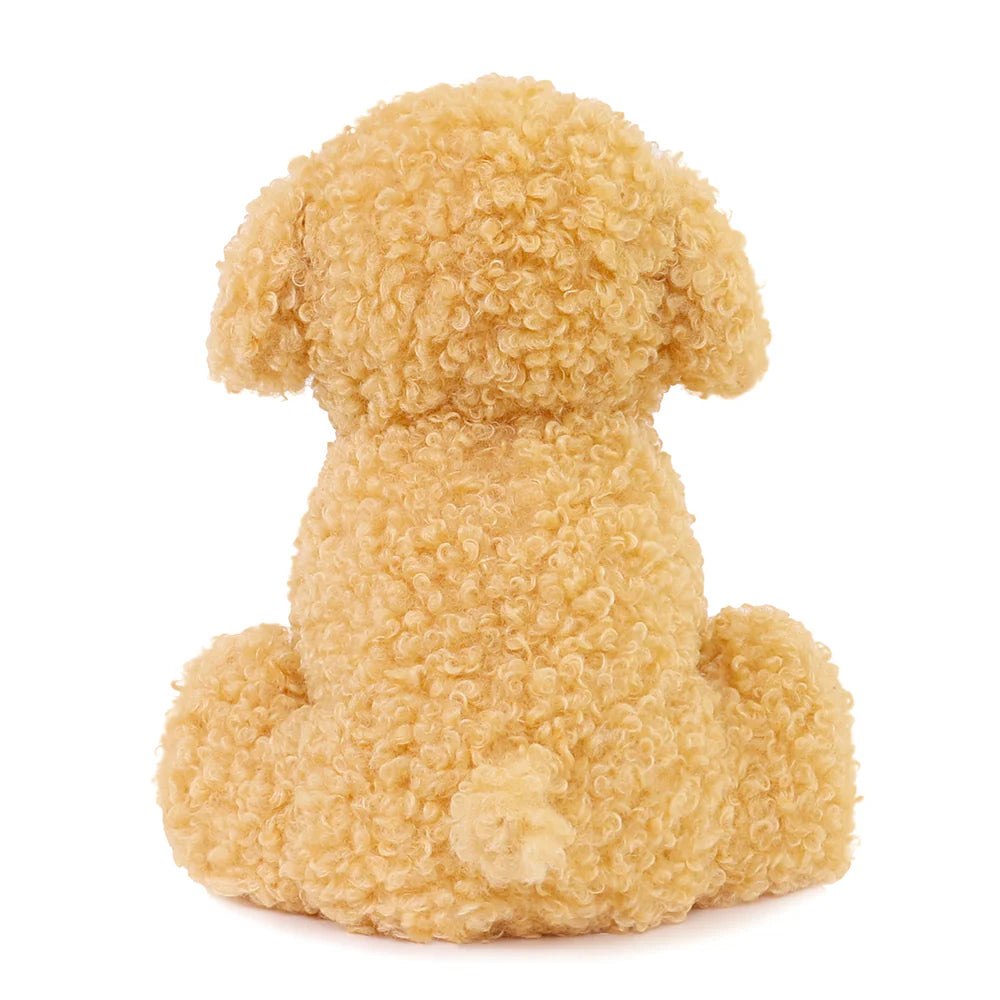 LUCA LABRADOODLE