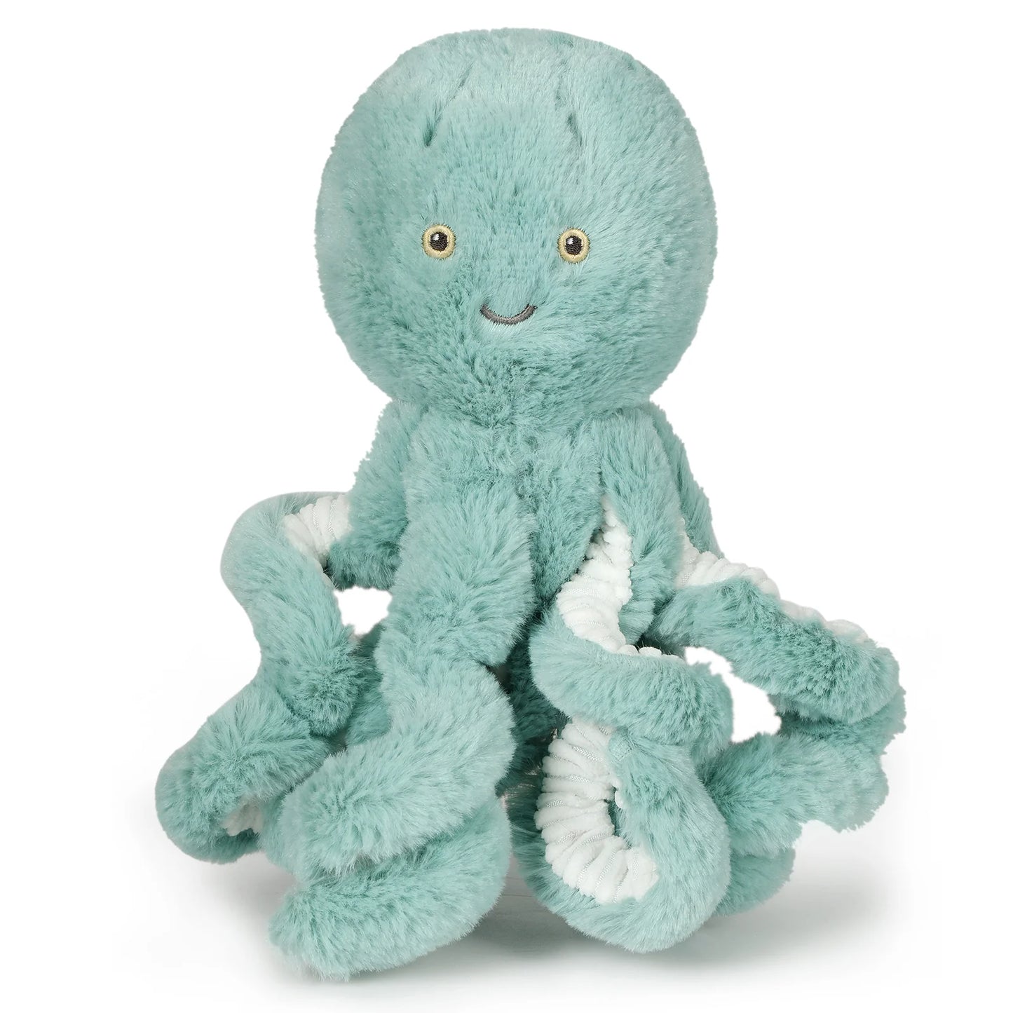 REEF OCTOPUS