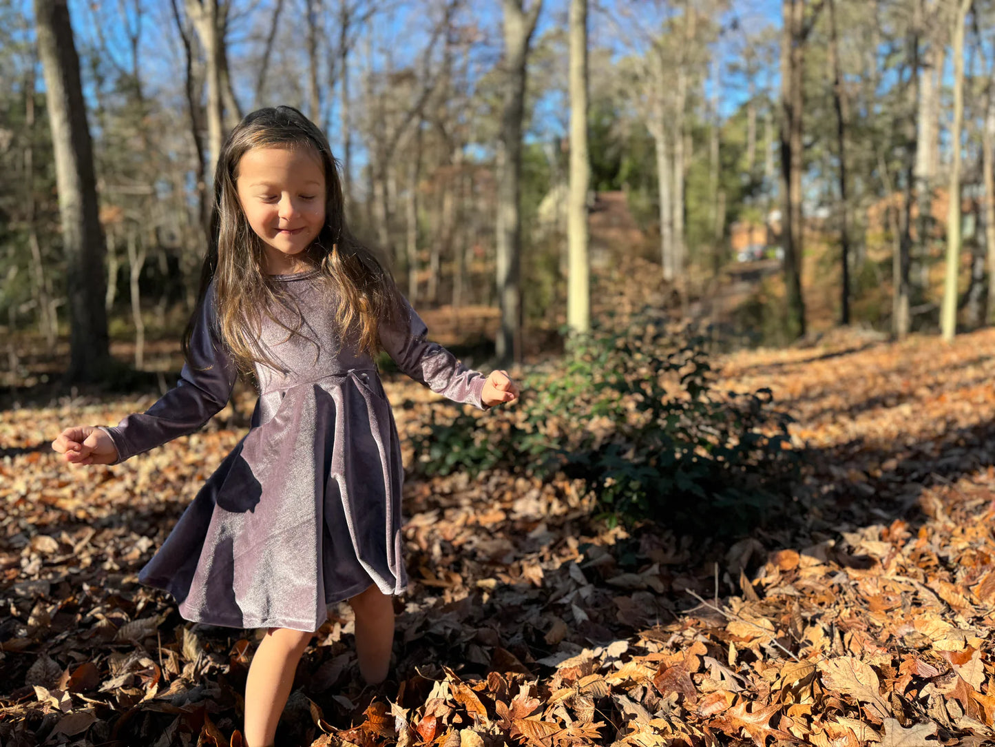 Merilee Dress in Plum Velvet