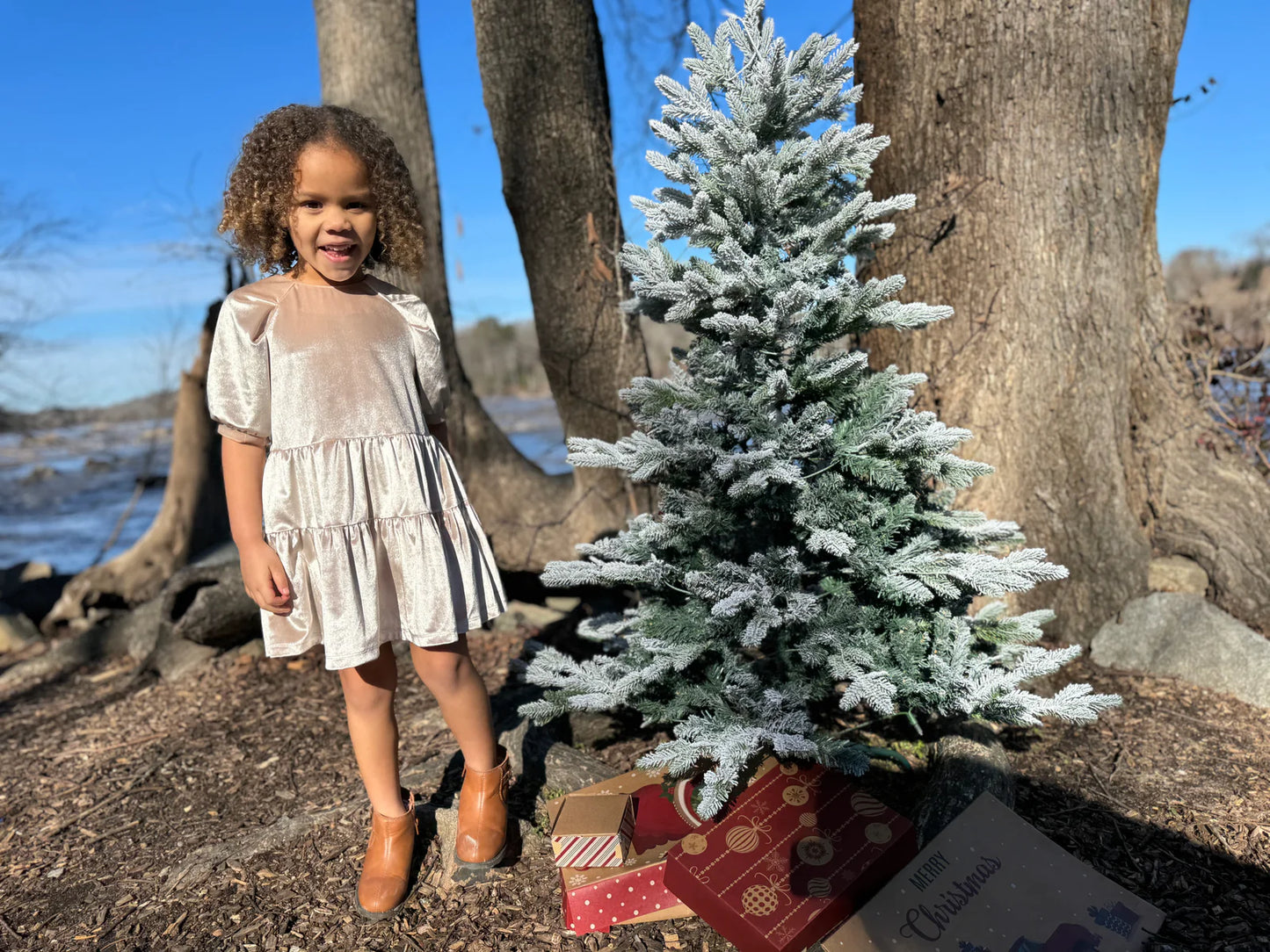 ALICE DRESS IN WHEAT