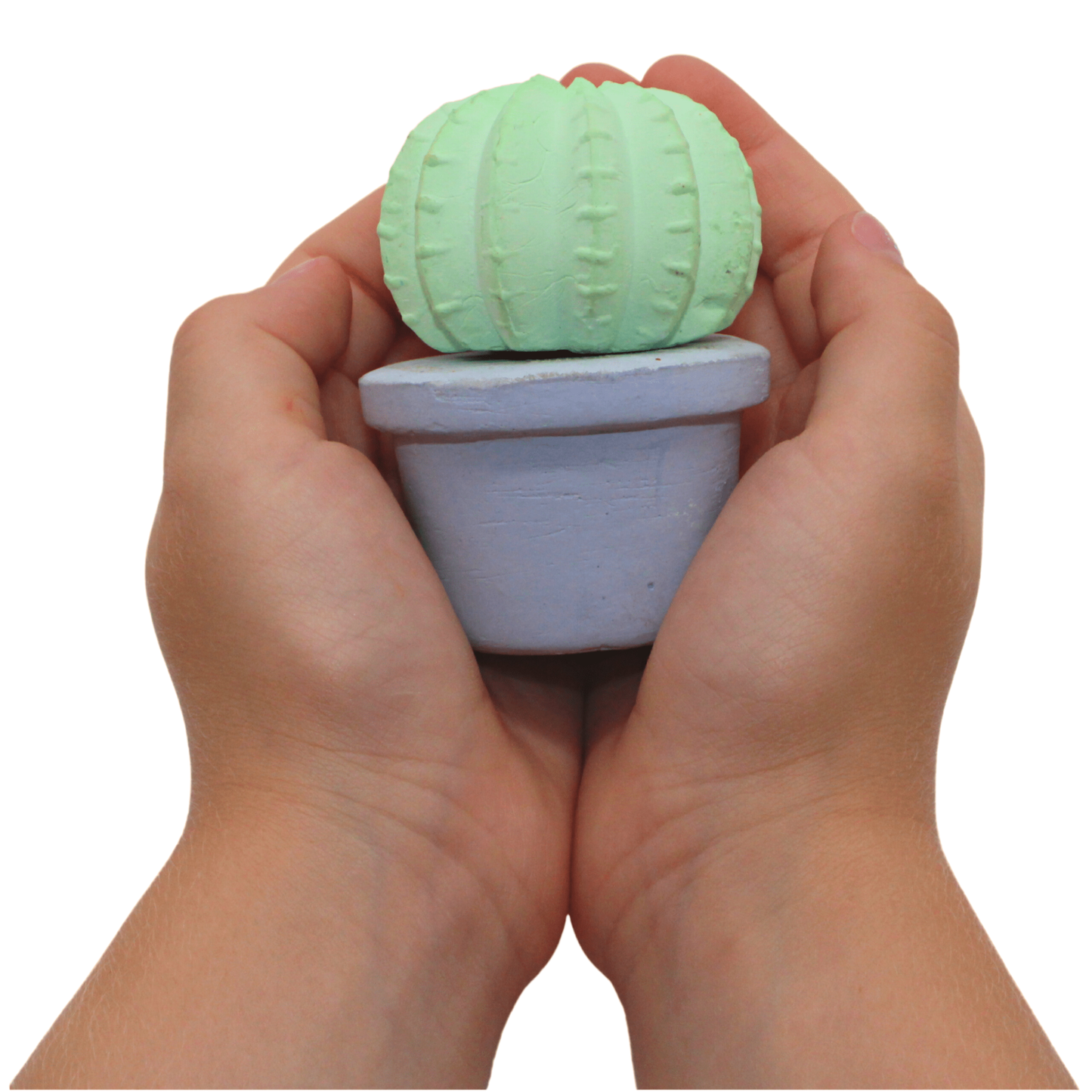 Maya & Siona's Succulents Handmade Sidewalk Chalk