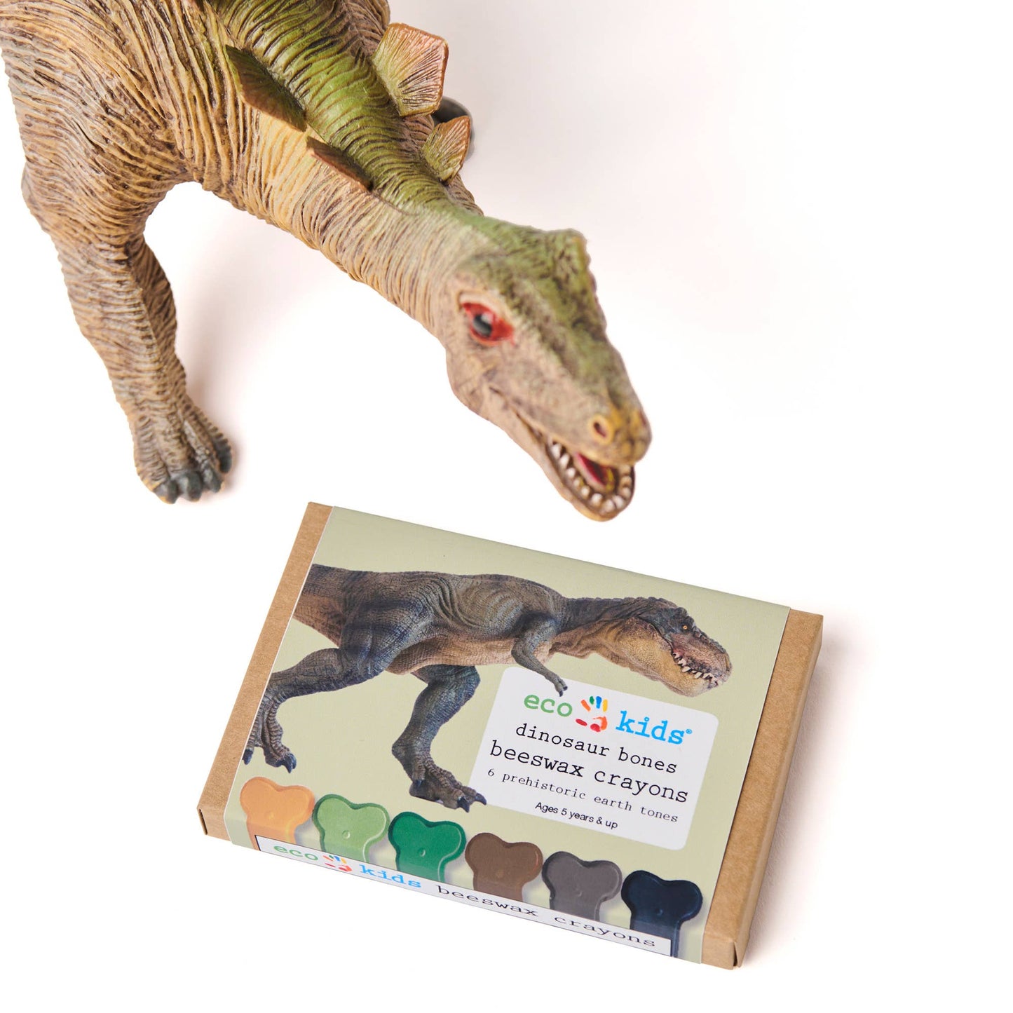 Beeswax crayons - dinosaur bone - case