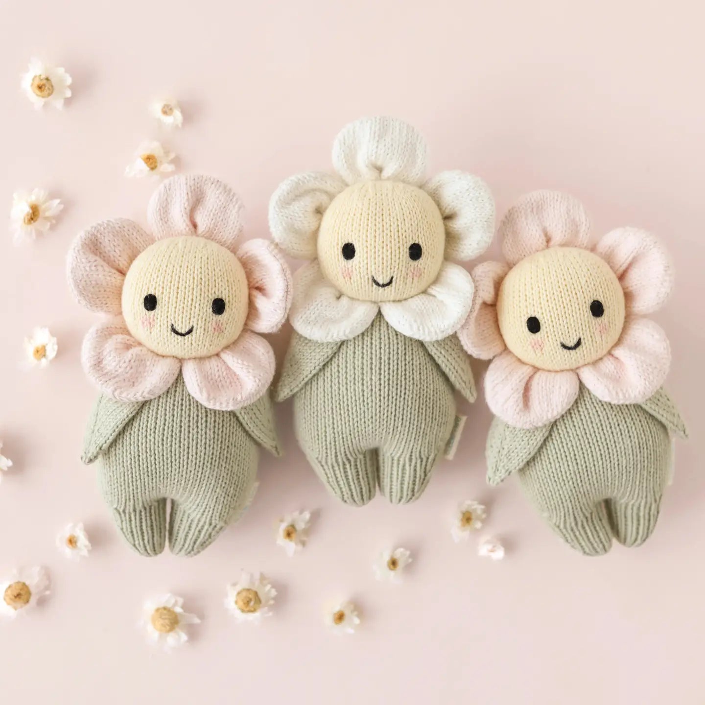Baby Daisy Pink