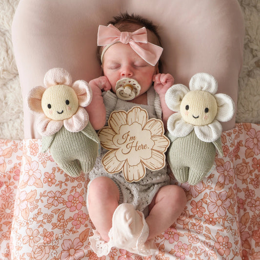 Baby Daisy Pink