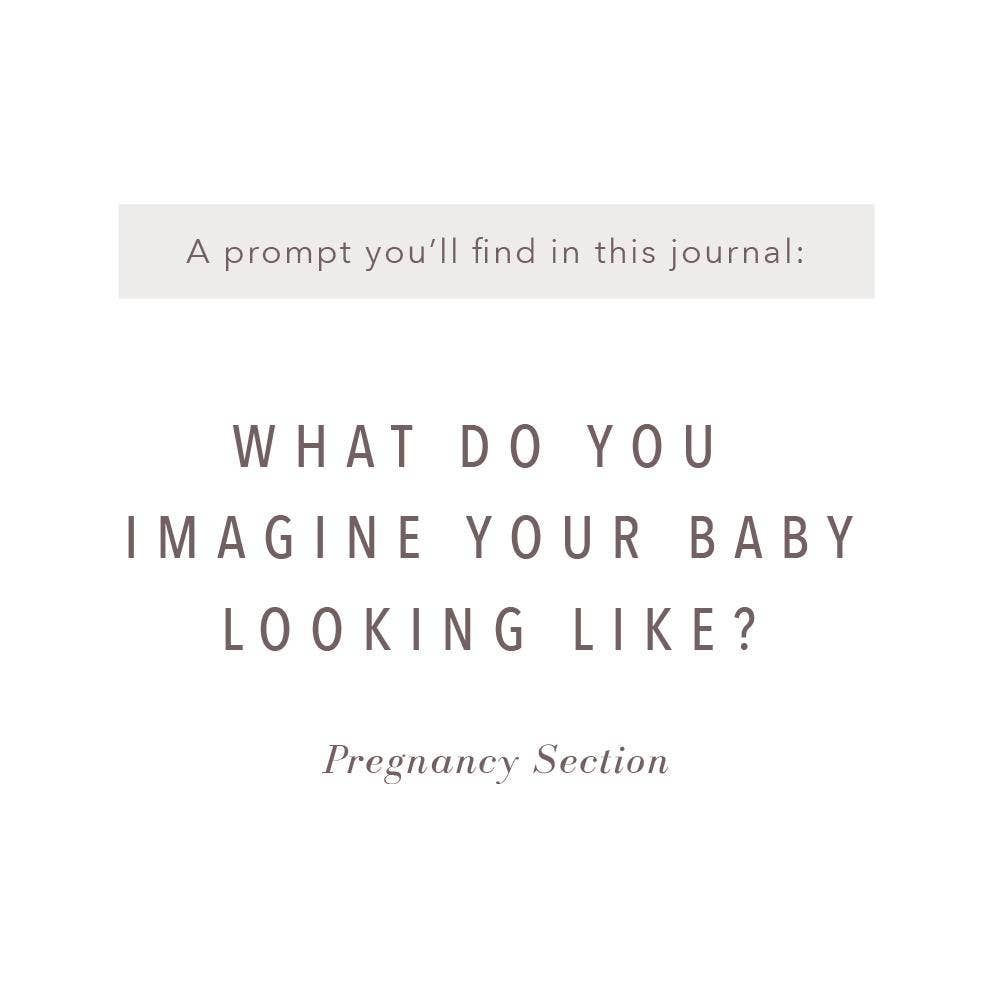 A Complete Childhood History: Pregnancy to 18 Years Journal : Dusty Rose Linen