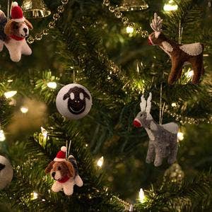 Santa’s Reindeer Eco Ornaments - Set of 2