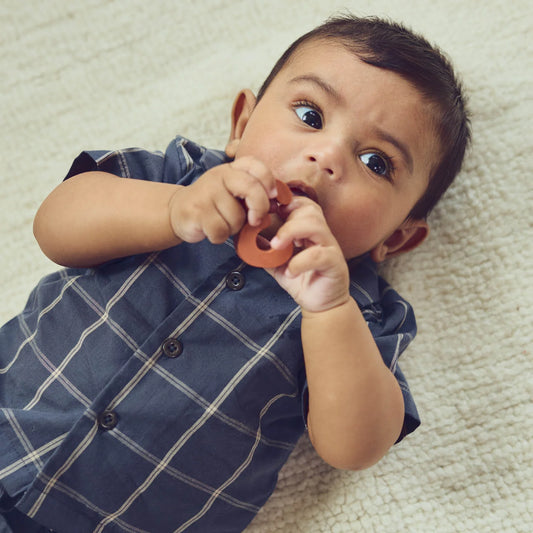Baby Check Shirt and Short Set