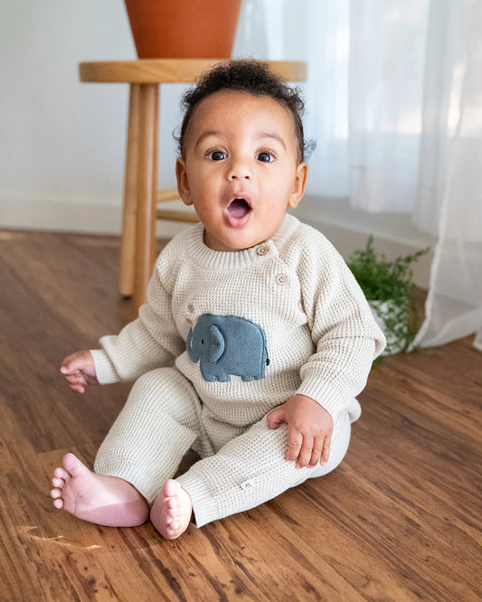 ELEPHANT JACQUARD BABY SWEATER KNIT JUMPSUIT (ORGANIC COTTON)