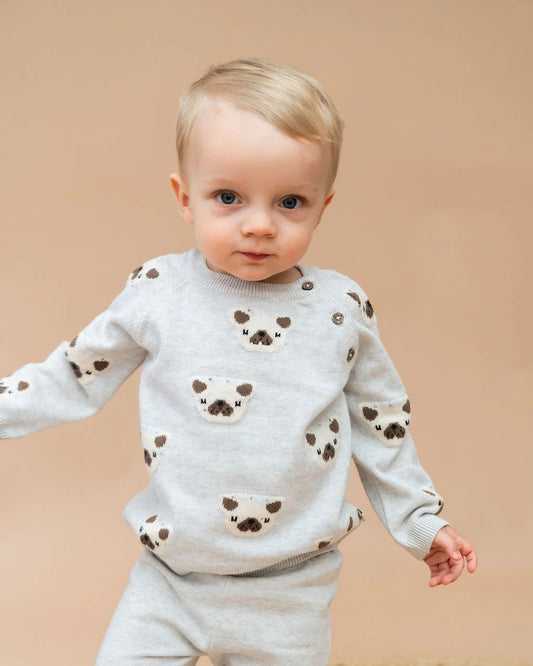 Frenchie Puppy Jacquard Knit Raglan Pullover Sweater & Pant Set