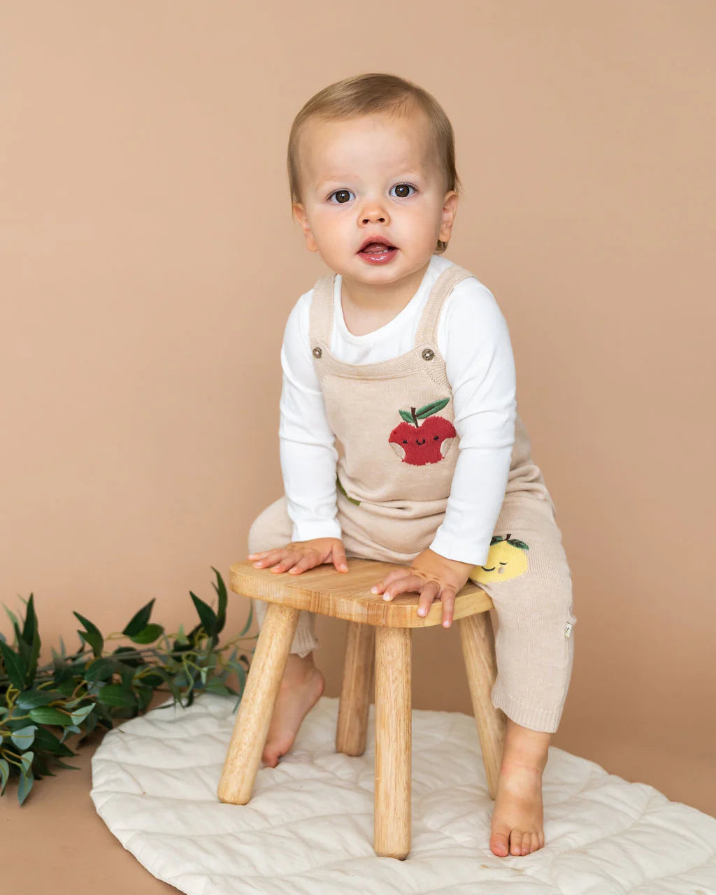 Happy Fruits Embroidered Baby Overall Set