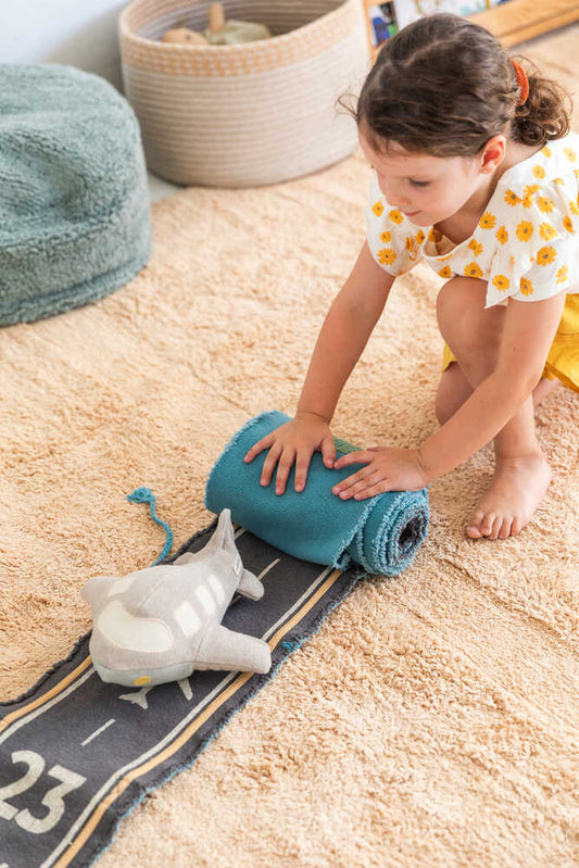 Ride & Roll Airplane Toy