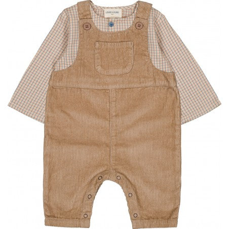 Baby Oncle Shirt Check